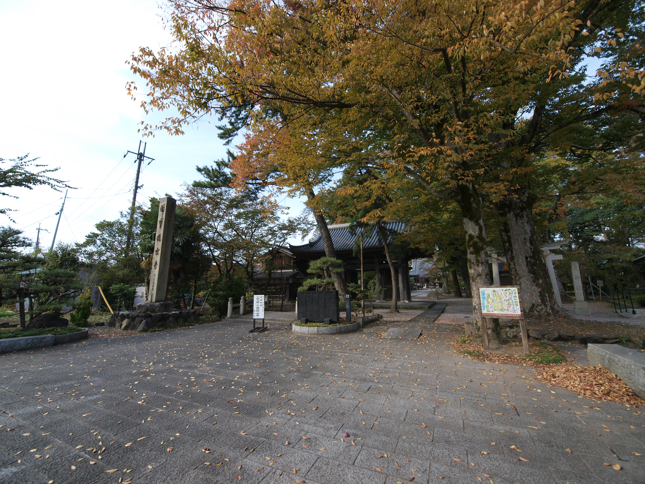 PB021953.JPG